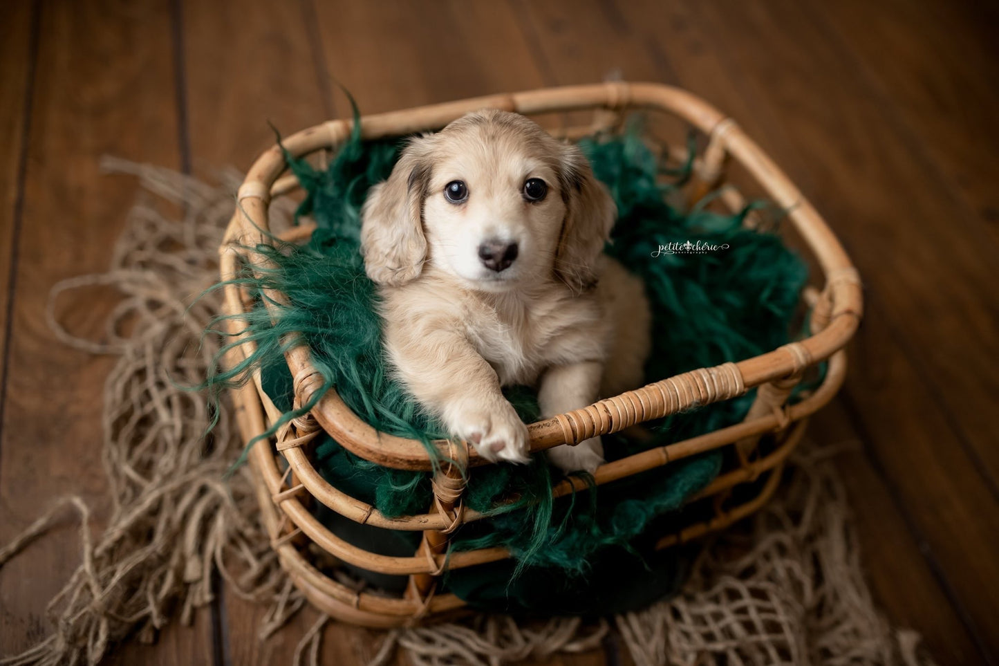 Bamboo Baskets