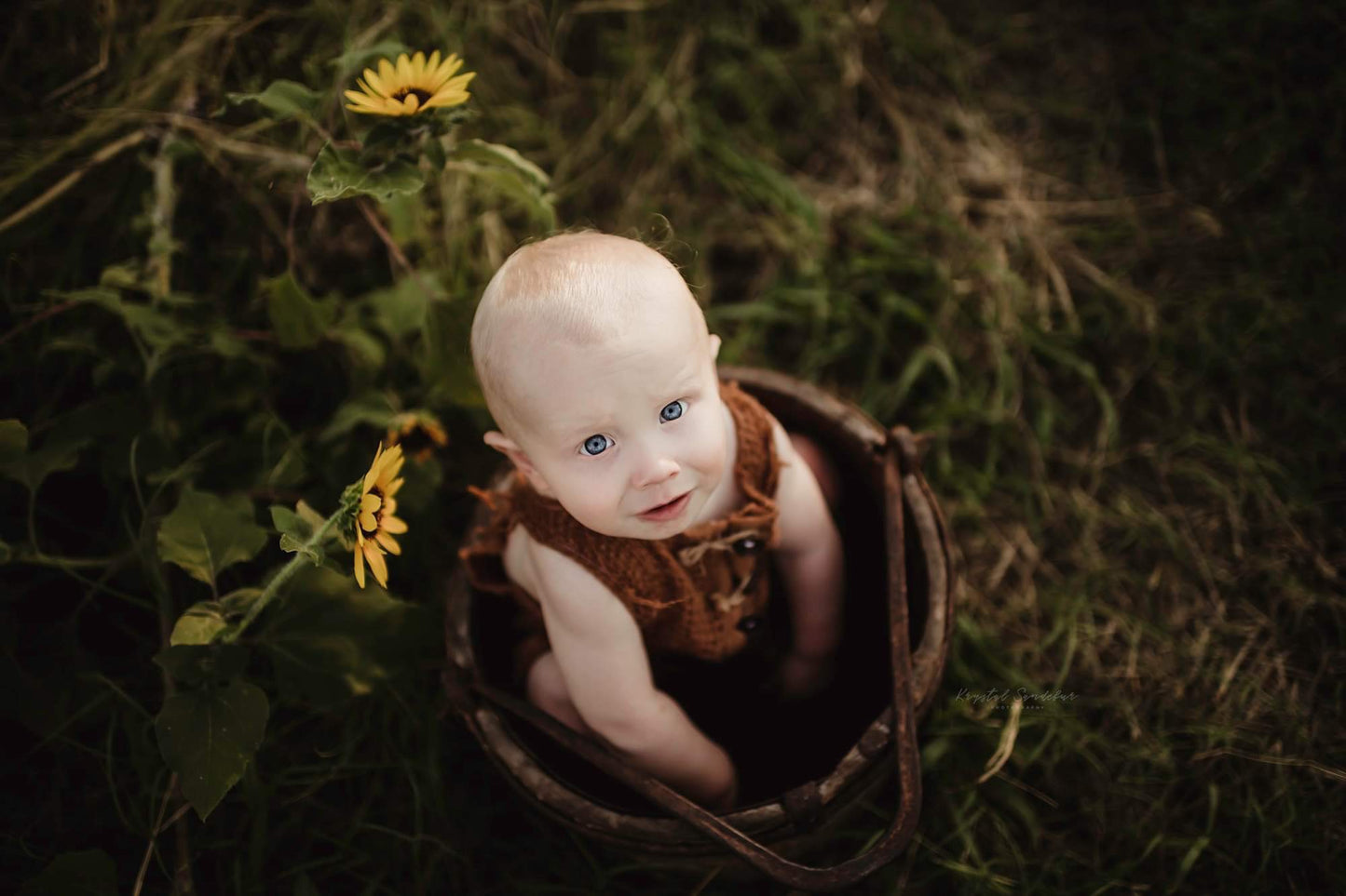 Farm Bucket