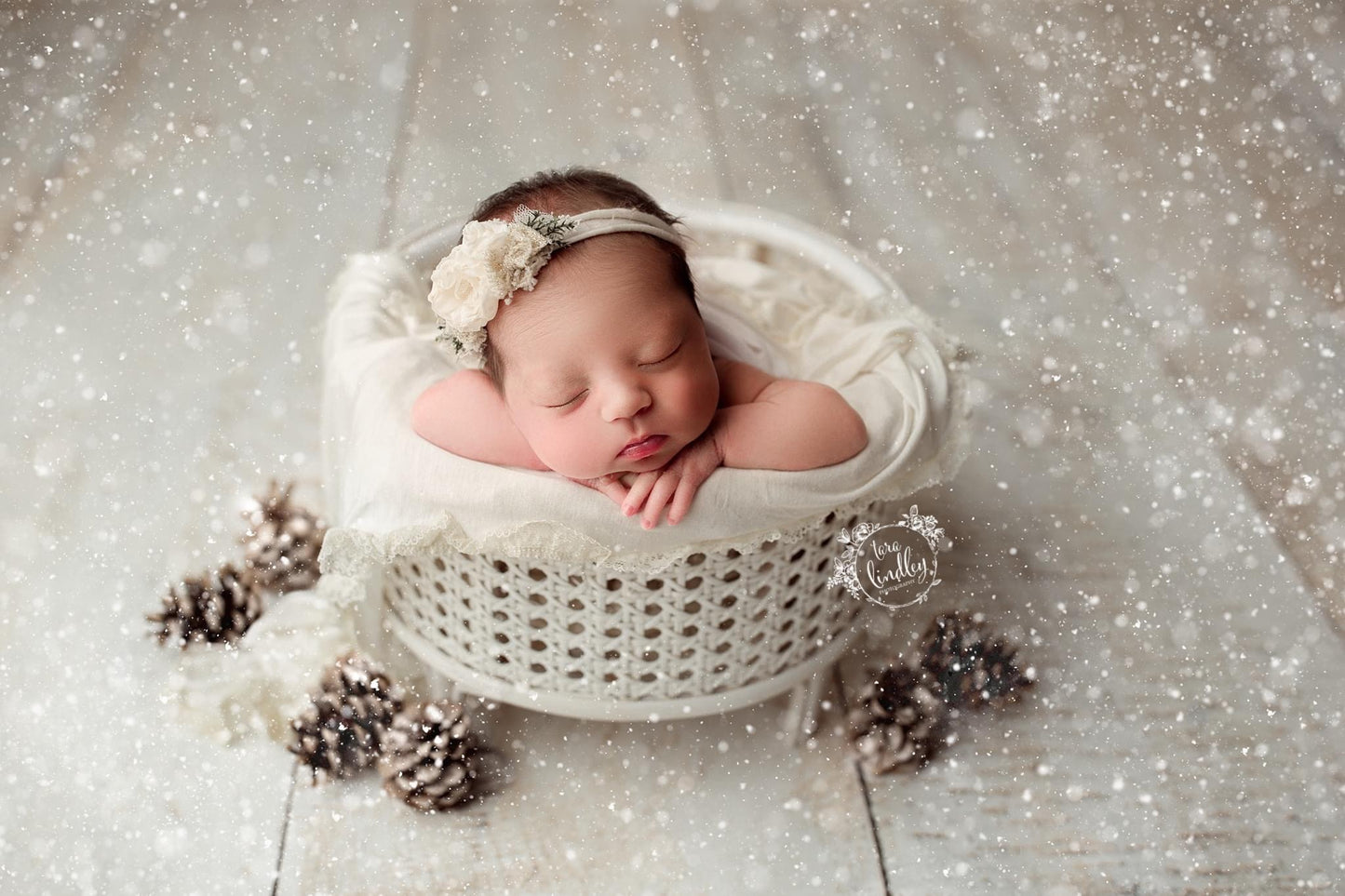 Jenny's Basket