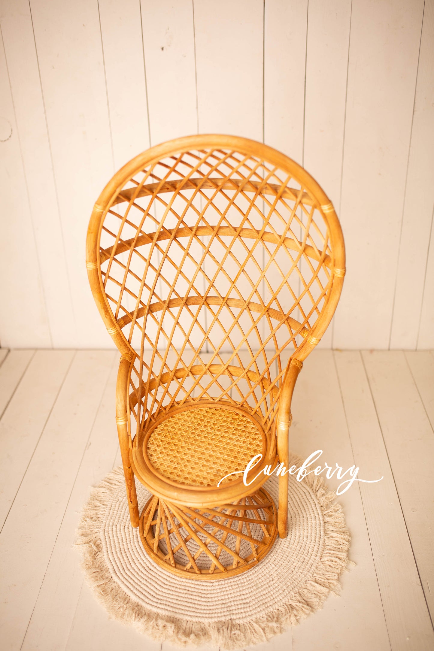 Peacock Bamboo Chair
