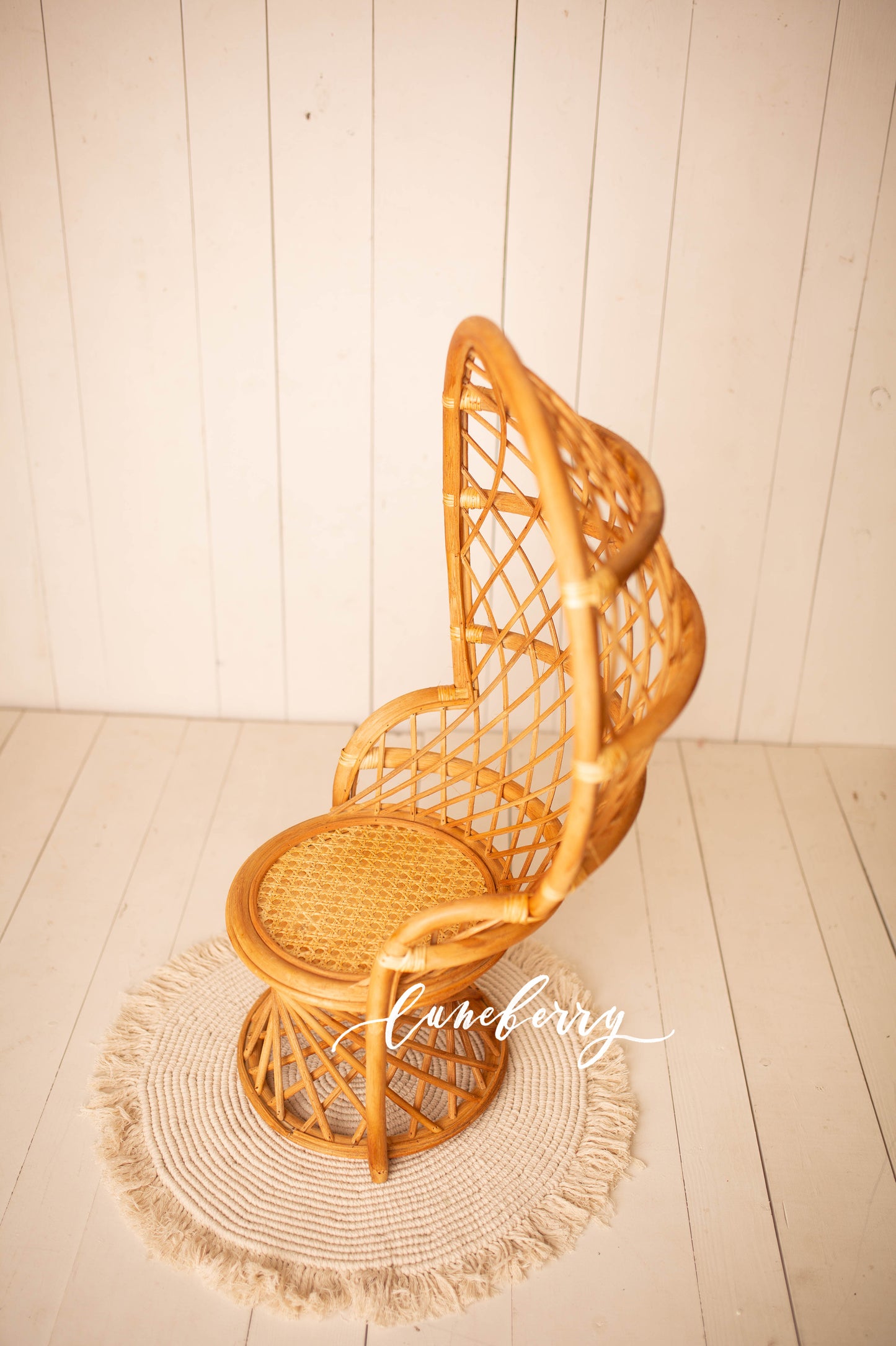 Peacock Bamboo Chair