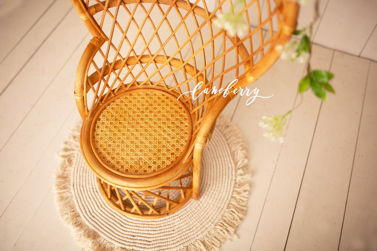 Peacock Bamboo Chair