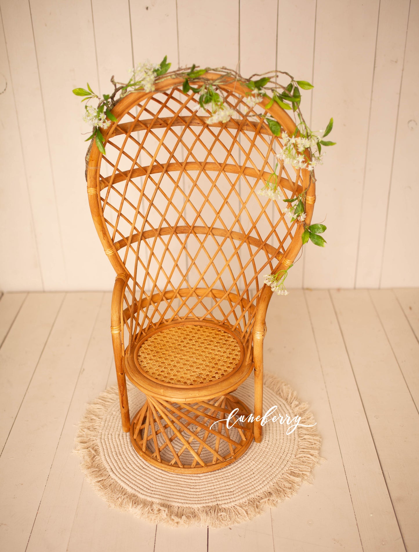 Peacock Bamboo Chair