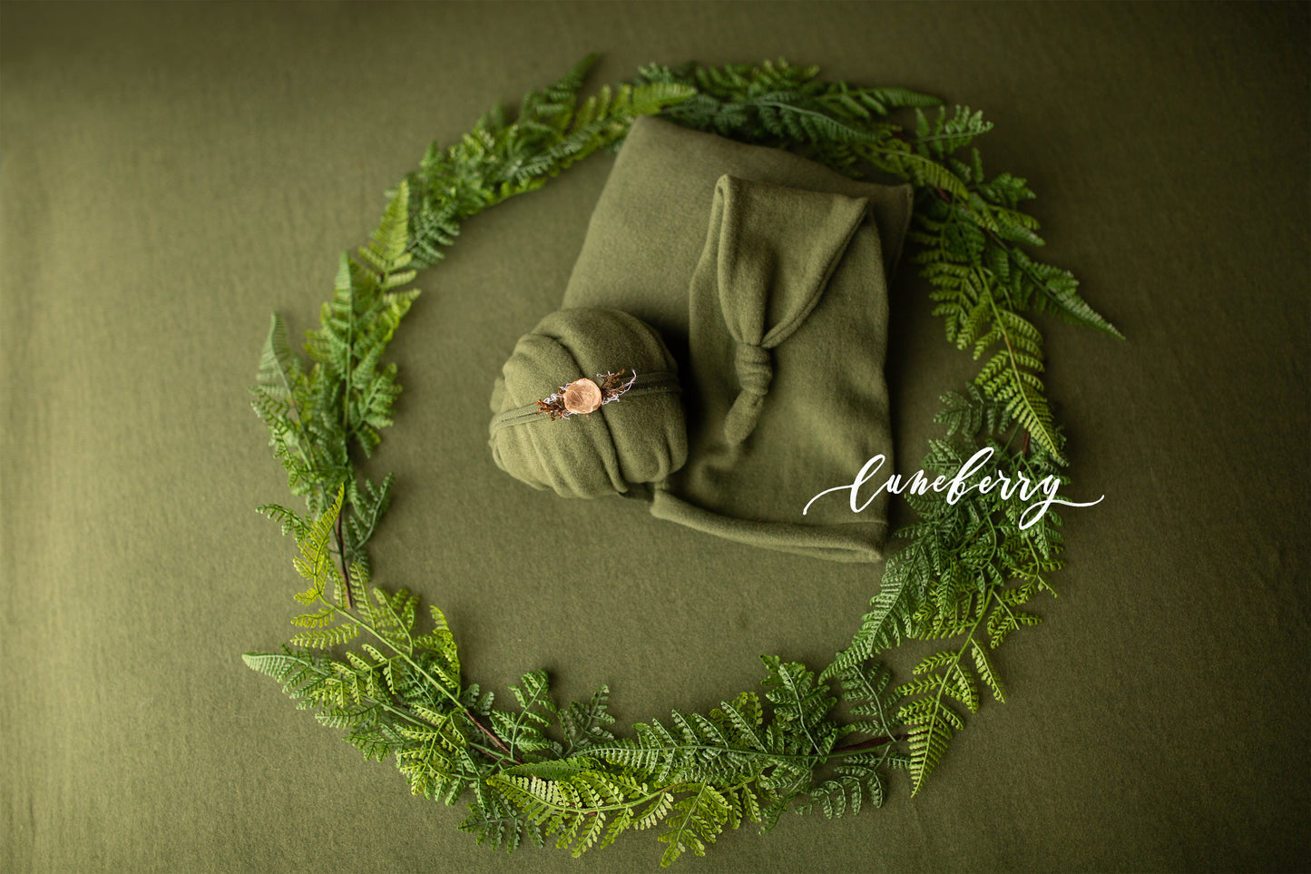 Fern Foliage