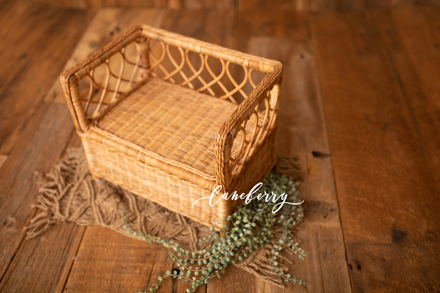 Willow Daybeds - two finishes