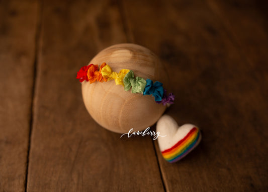 Rainbow Felty & Headband Set