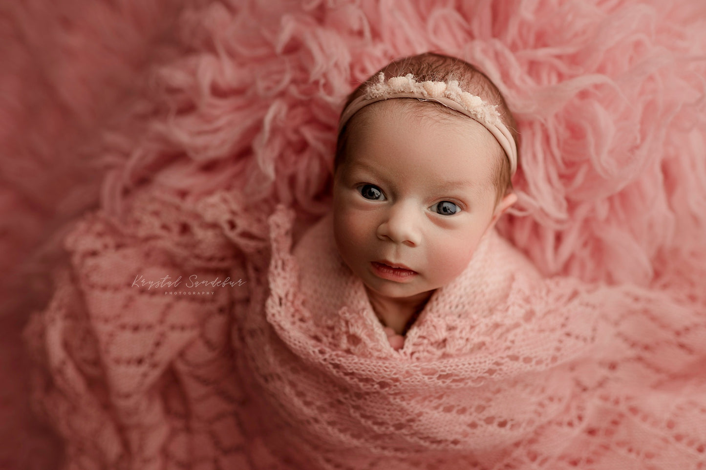 BLUSH Premium Wool Flokati