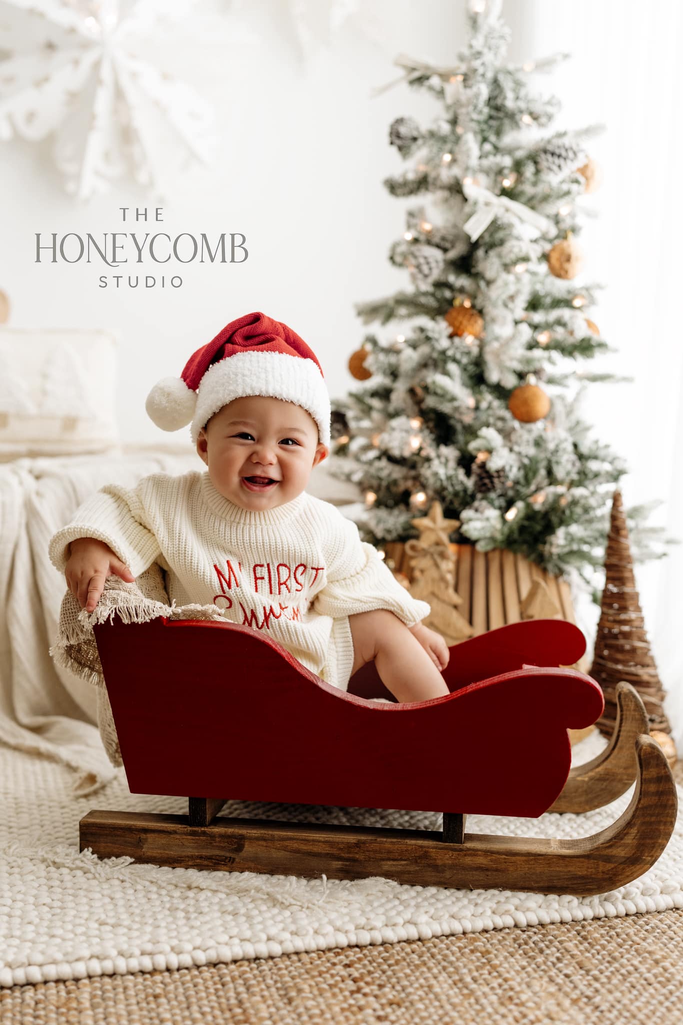 Little Sleigh PRE-ORDER