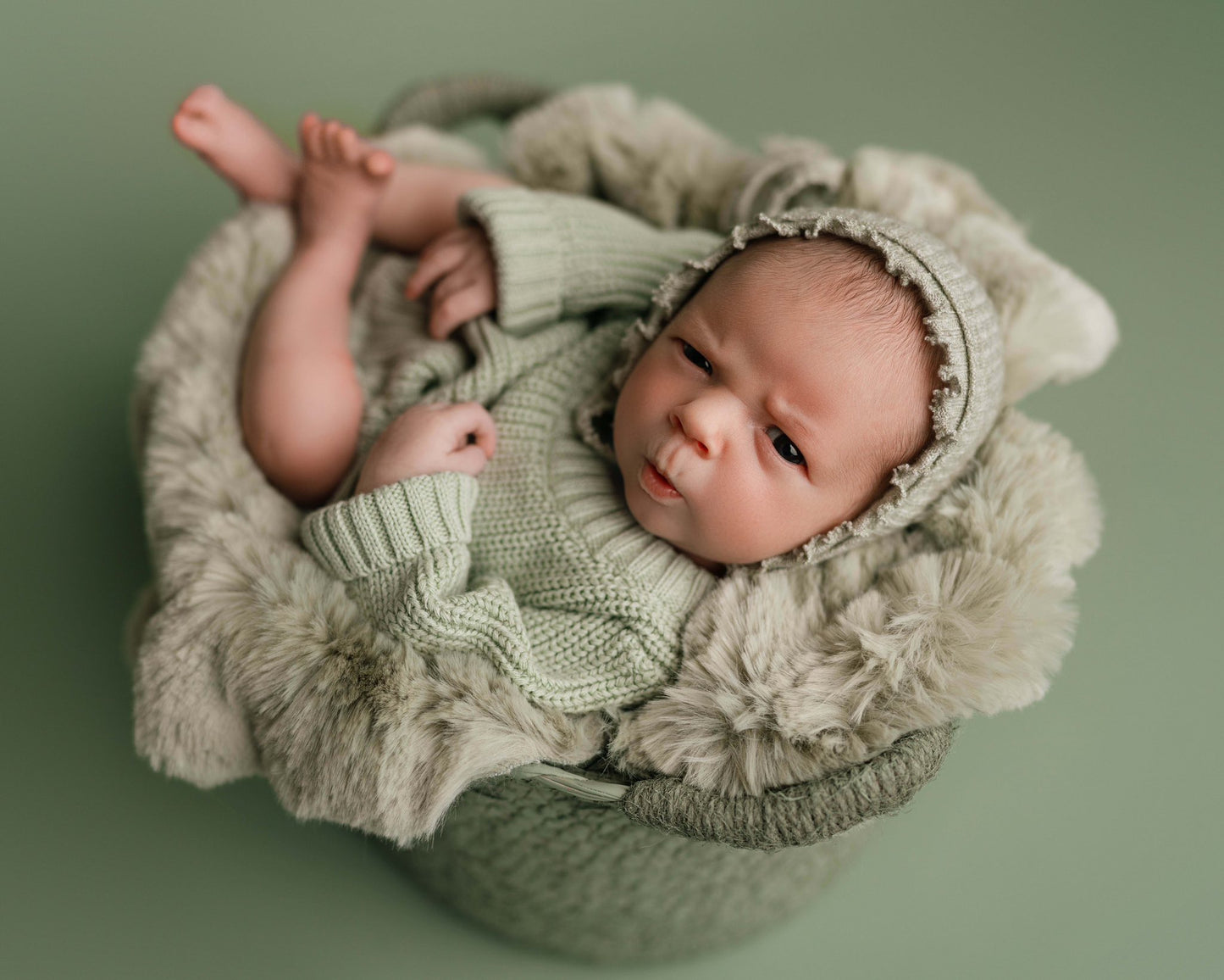 SUCCULENT Itty Bitty Basket- NN Seamless
