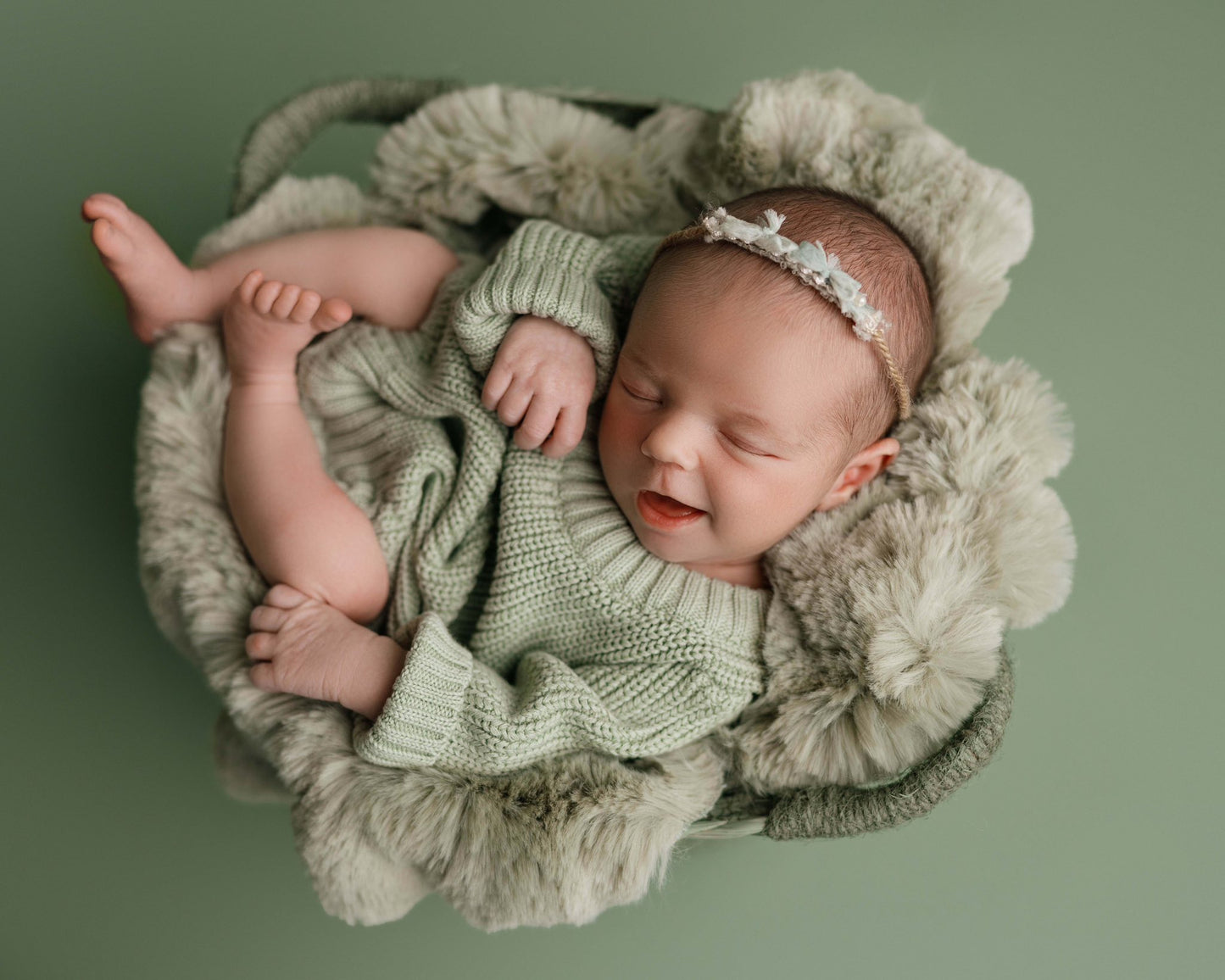 SUCCULENT Itty Bitty Basket- NN Seamless