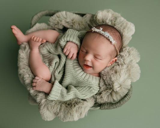 SUCCULENT Itty Bitty Basket- NN Seamless
