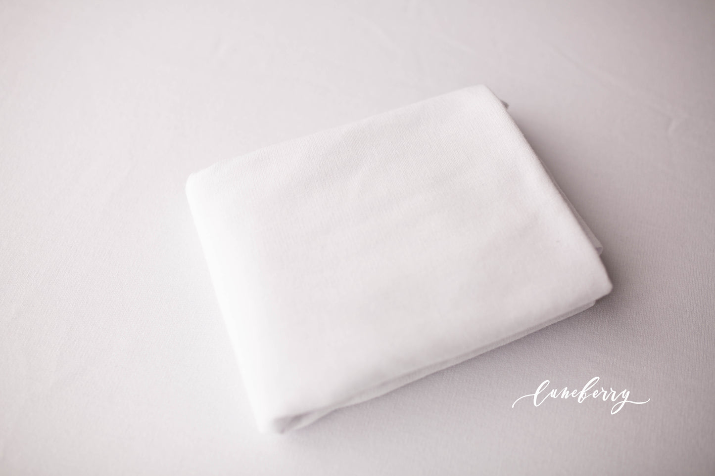 CHANTILLY WHITE Fabric