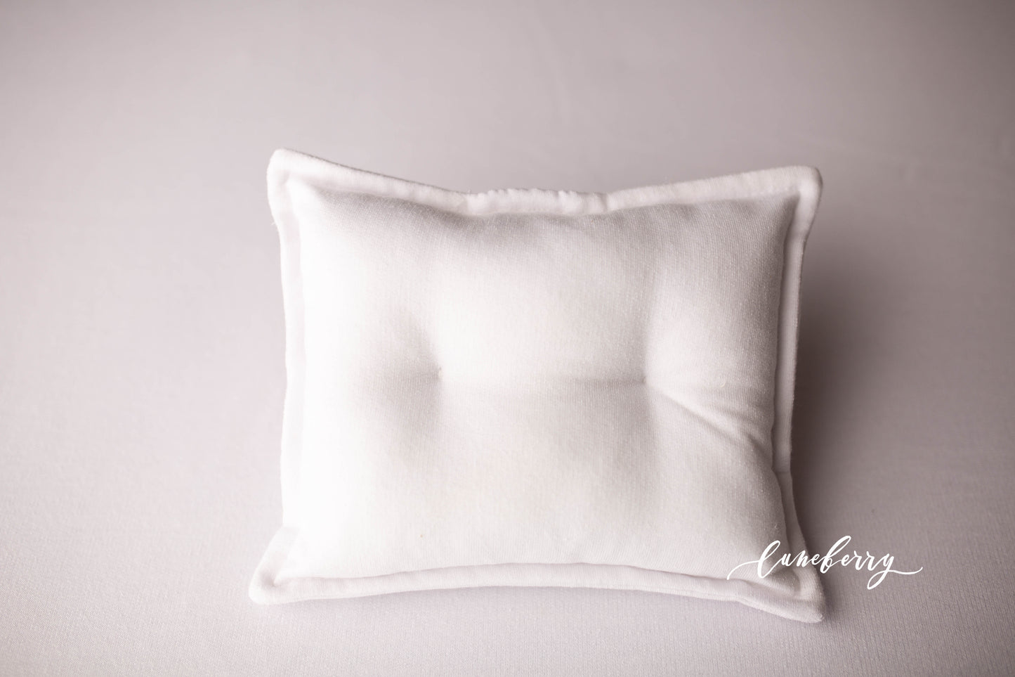 CHANTILLY WHITE Fabric