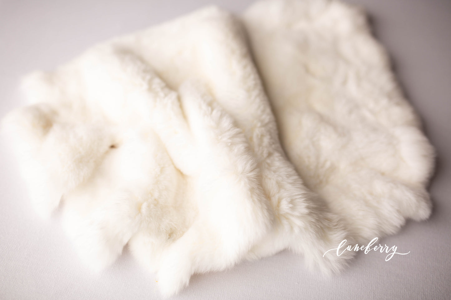 CHANTILLY WHITE Fabric