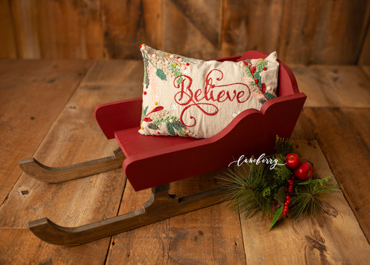 Santa's Little Sled