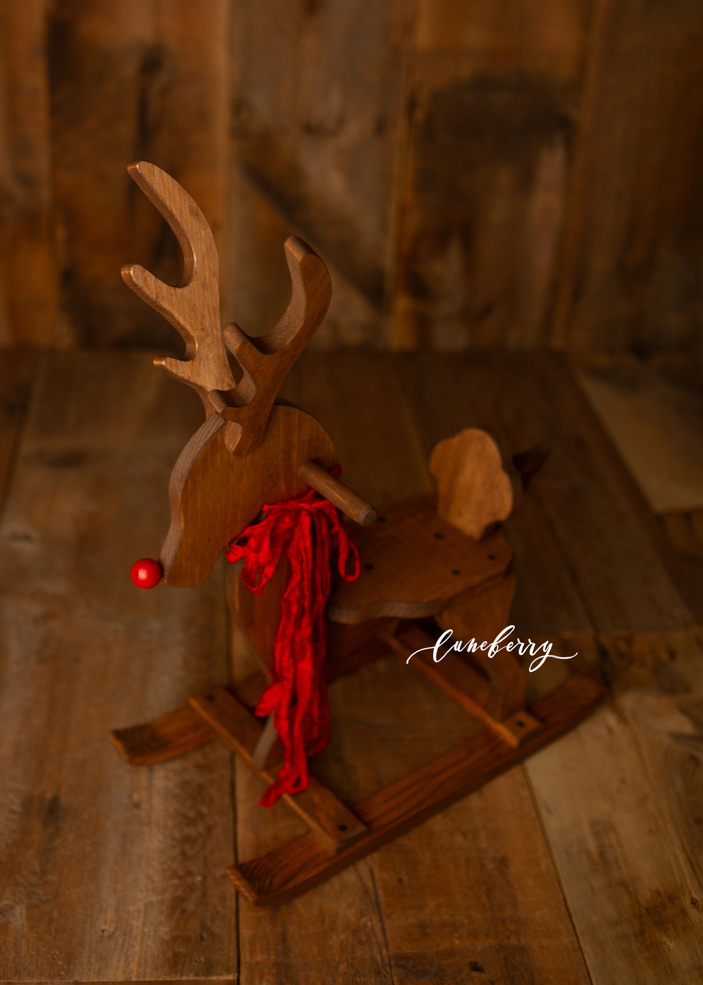Rudolph the Red Nose Reindeer