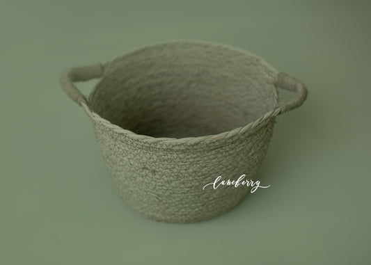 SUCCULENT Itty Bitty Basket- NN Seamless