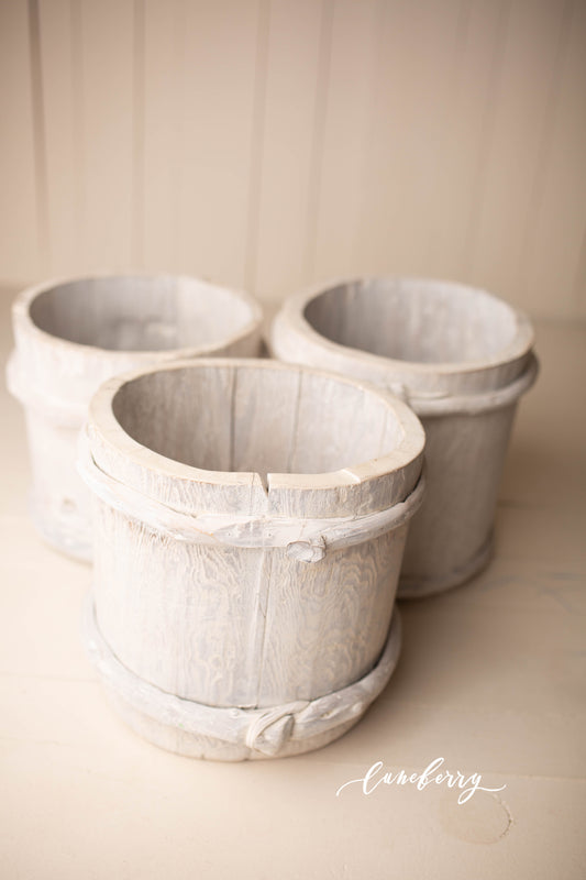 FINAL SALE -  Cream Targeryan buckets