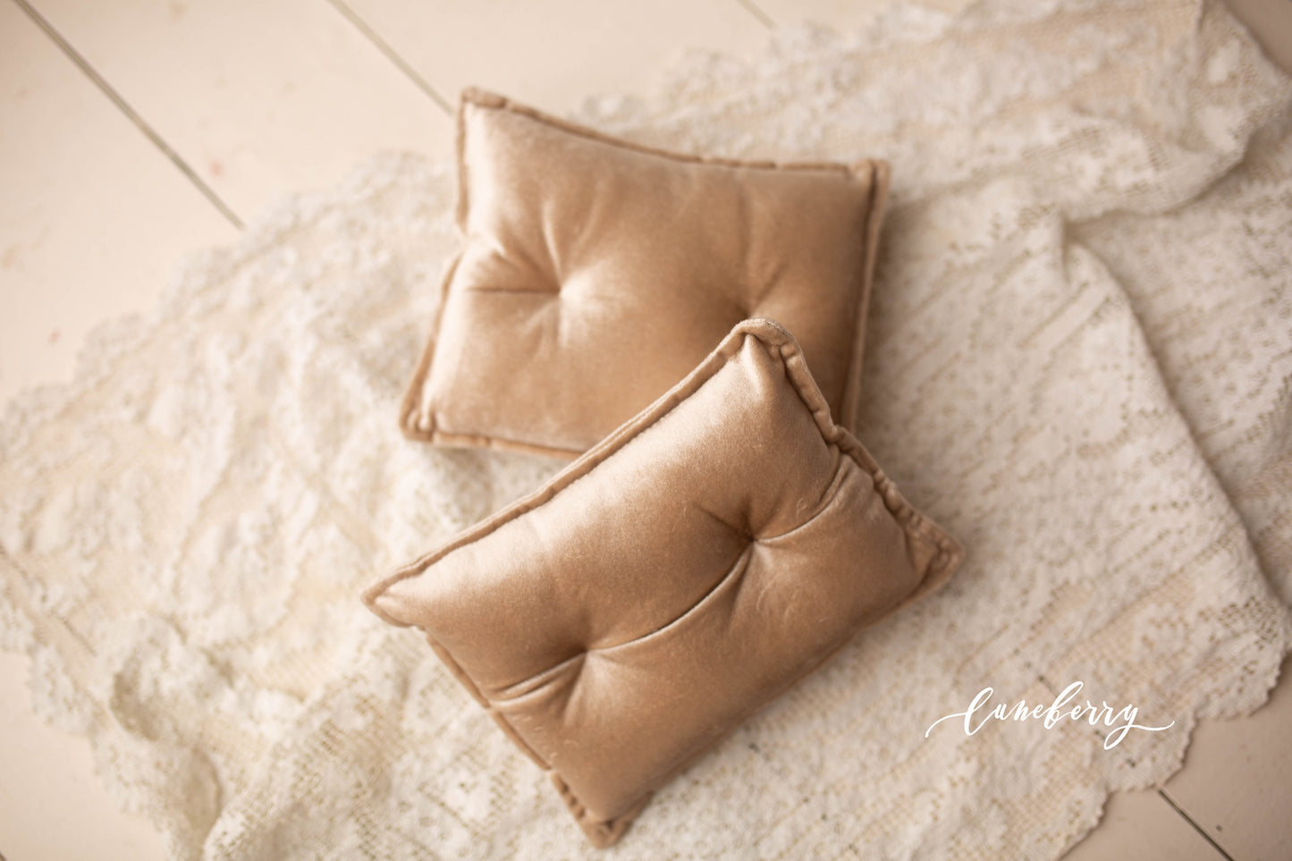 FINAL SALE -  Beige velvet pillow