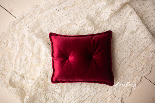 FINAL SALE -  Red velvet pillow