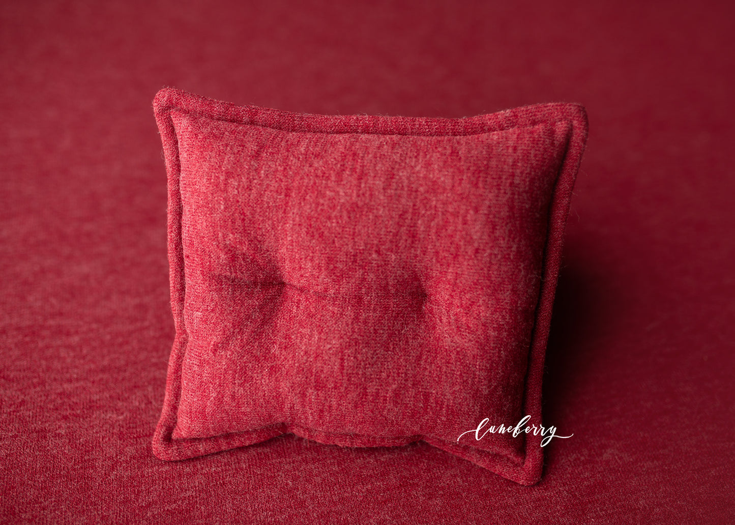 HOLLY BERRY Fabric