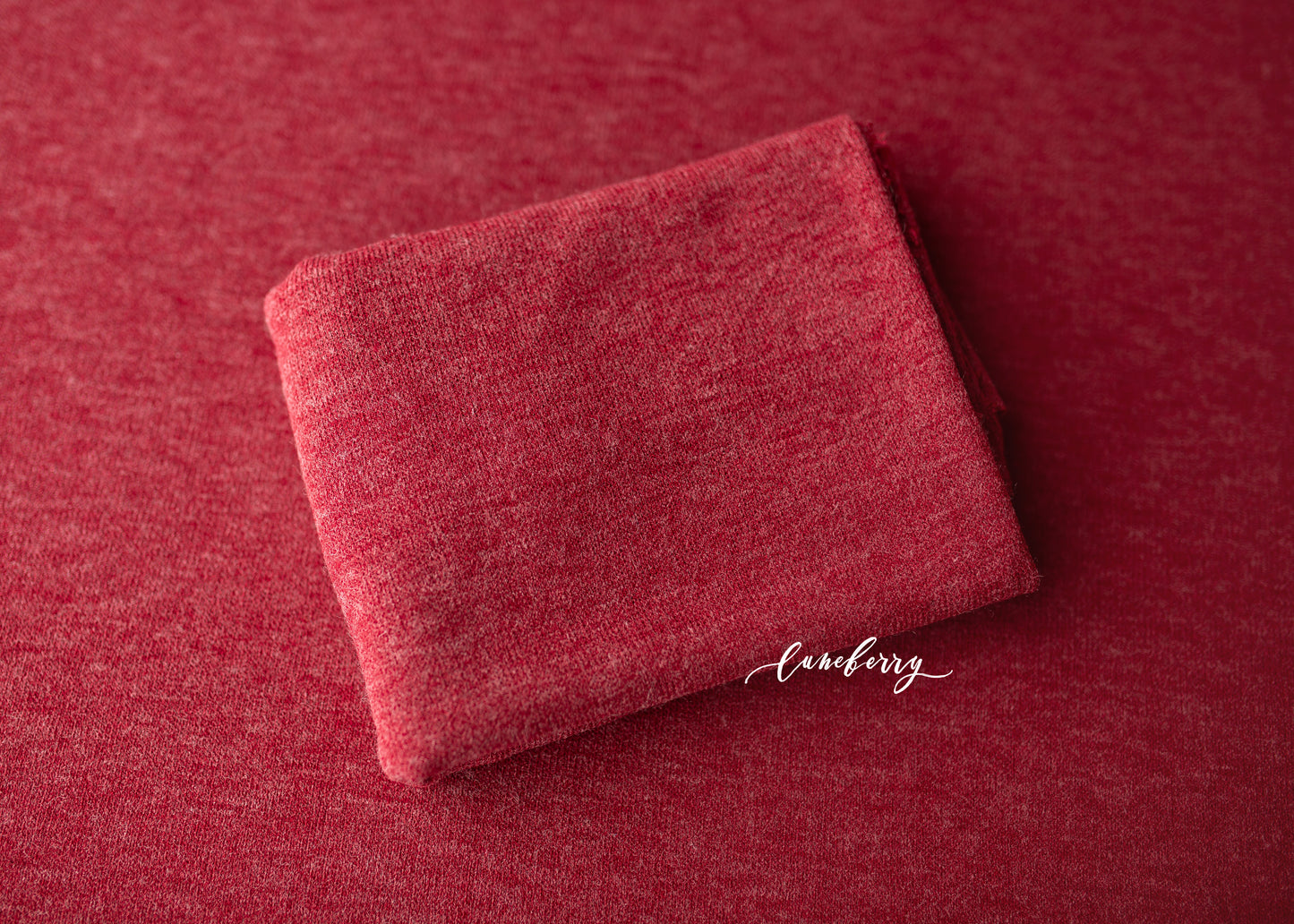 HOLLY BERRY Fabric