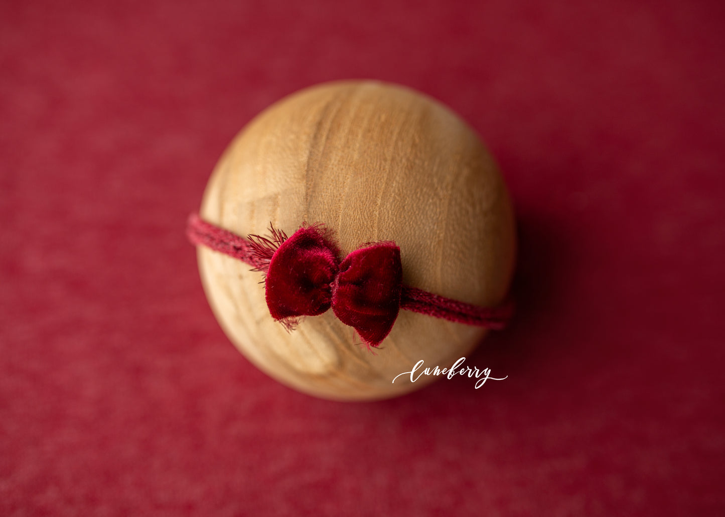 HOLLY BERRY Fabric
