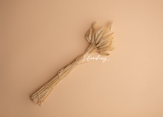 KALONA Bunny tails- NN Seamless
