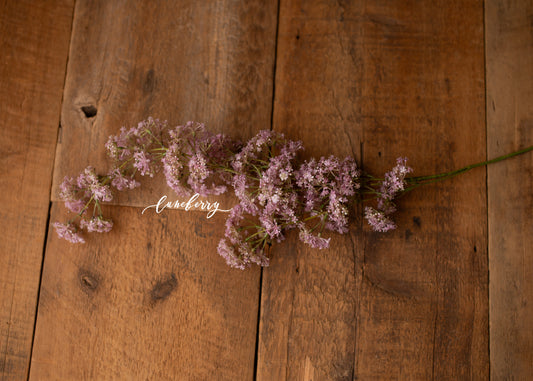 Lavender Weeping Laurel