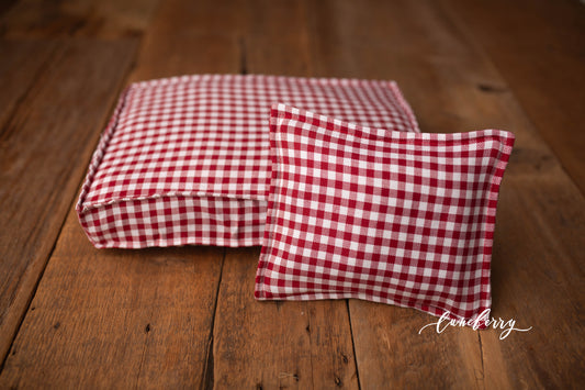 Mattress Cover -Red and White Squares