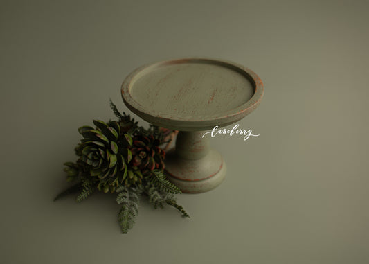 SUCCULANT Cake Stand- NN Seamless