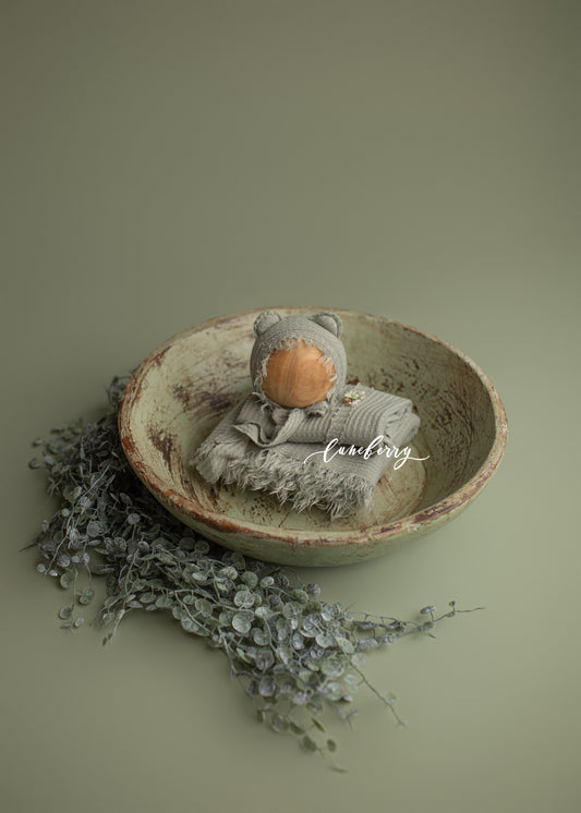 SUCCULANT Wooden Bowl set- NN Seamless