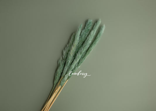 SUCCULANT Pampas Grass Short- NN Seamless