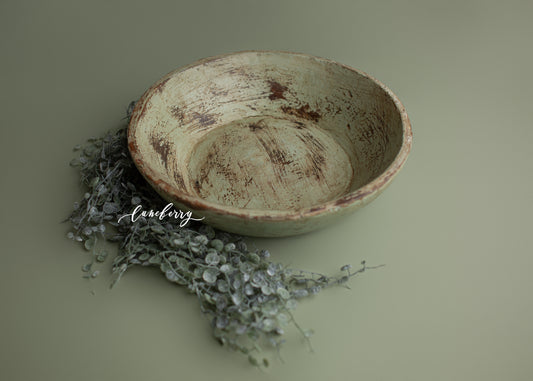 SUCCULANT Wooden Bowl set- NN Seamless