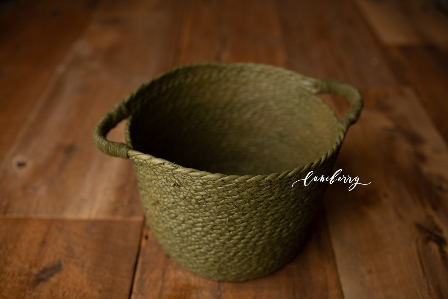 SWAMP Itty Bitty Basket- NN Seamless