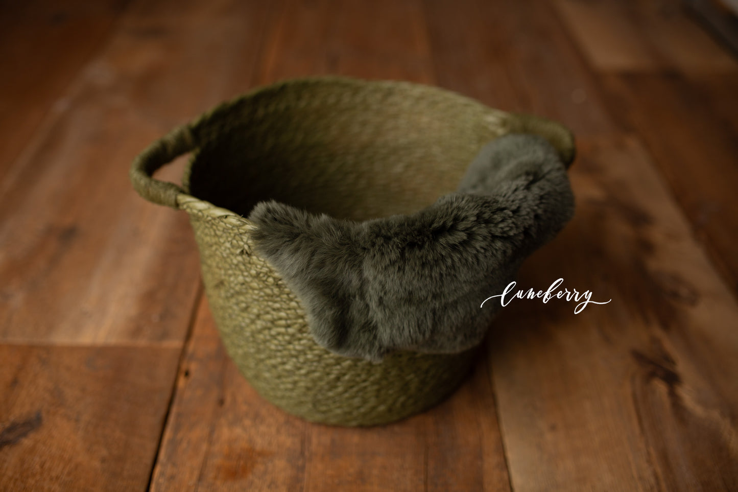 SWAMP Itty Bitty Basket- NN Seamless