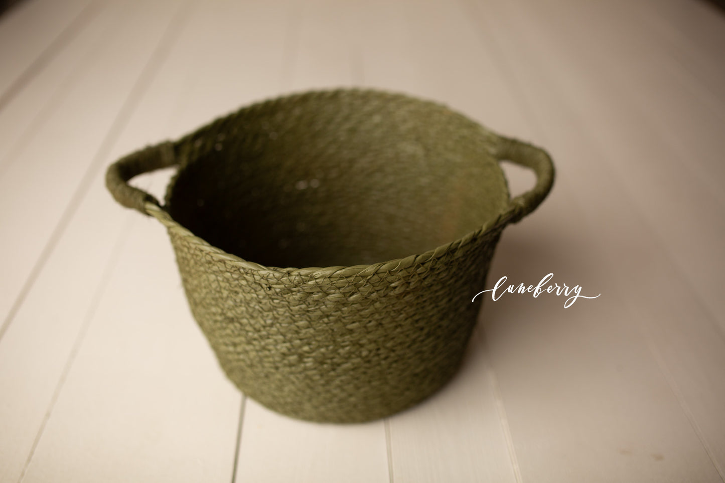 SWAMP Itty Bitty Basket- NN Seamless