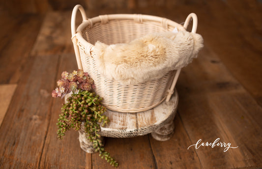 Cream Basket Styled Set