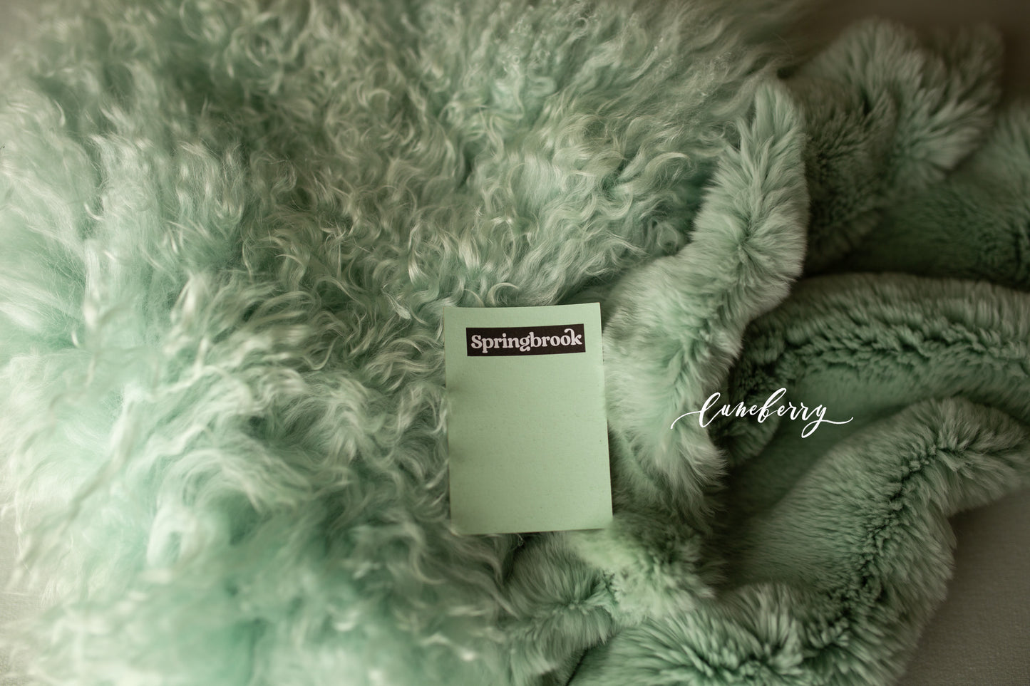 Mint Sheepskin & Rabbit Fur