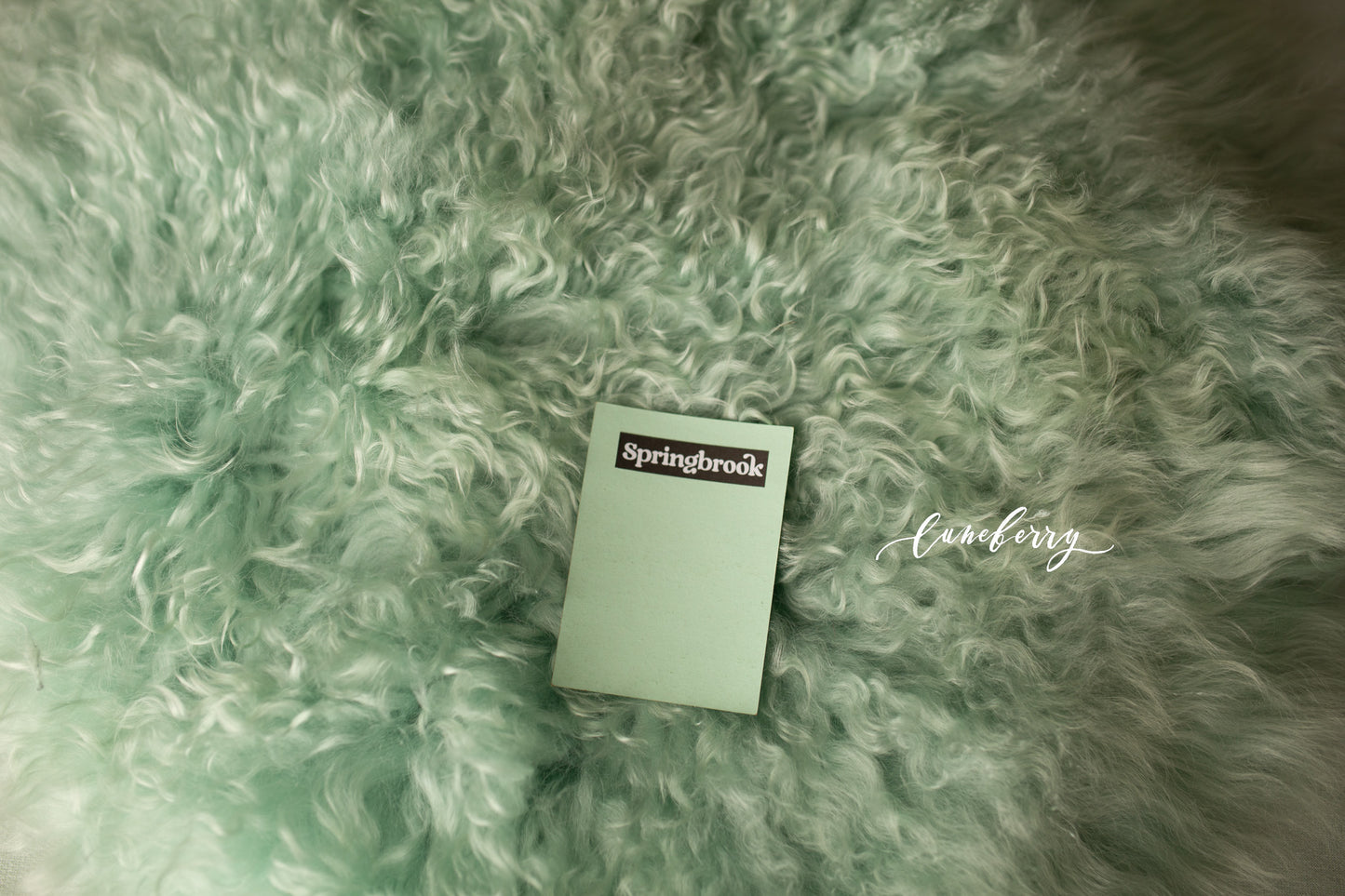 Mint Sheepskin & Rabbit Fur