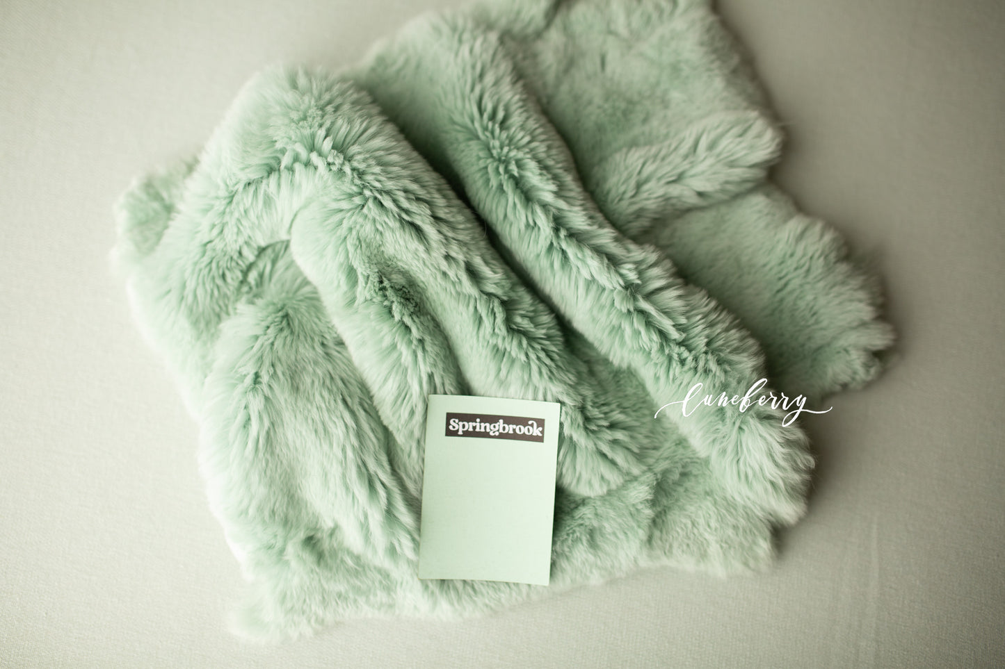 Mint Sheepskin & Rabbit Fur
