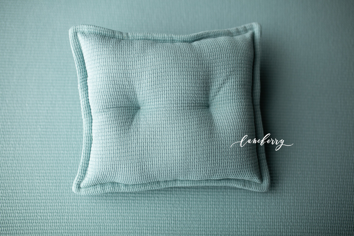 DUTCH BLUE Fabric