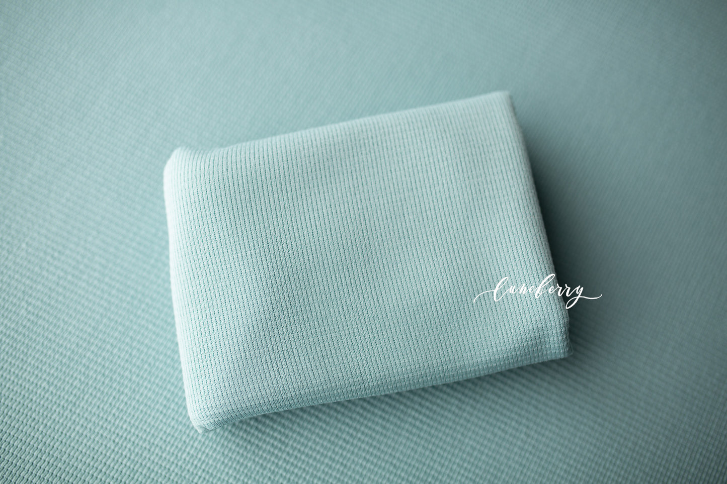 DUTCH BLUE Fabric