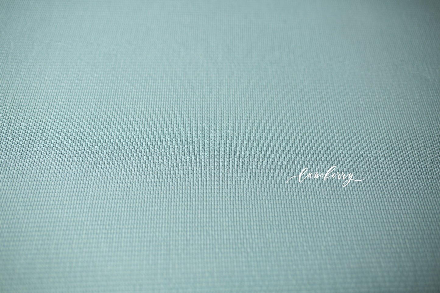 DUTCH BLUE Fabric