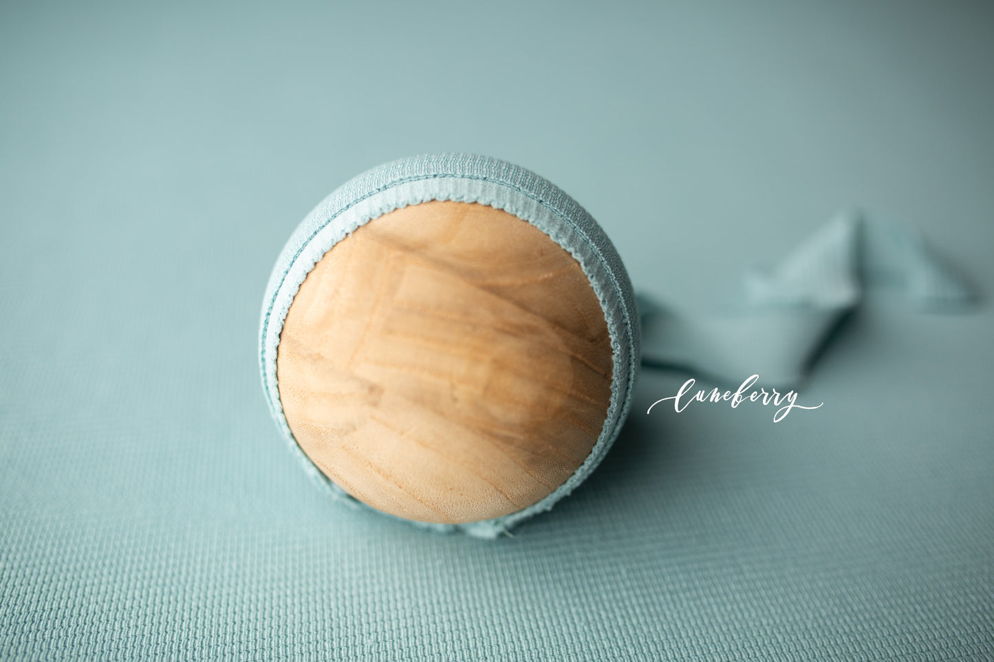 DUTCH BLUE Fabric