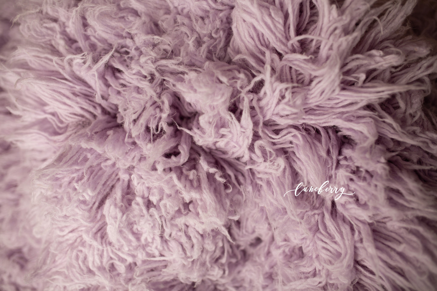 close up  of periwinkle flokati