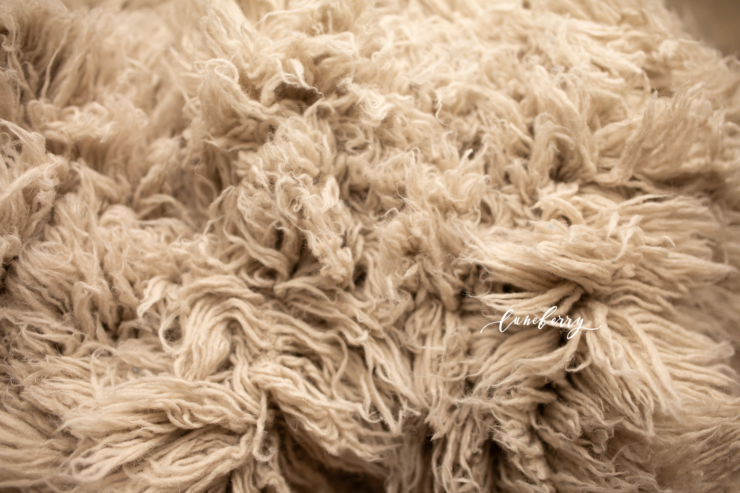 Close-up of simmering smoke flokati 