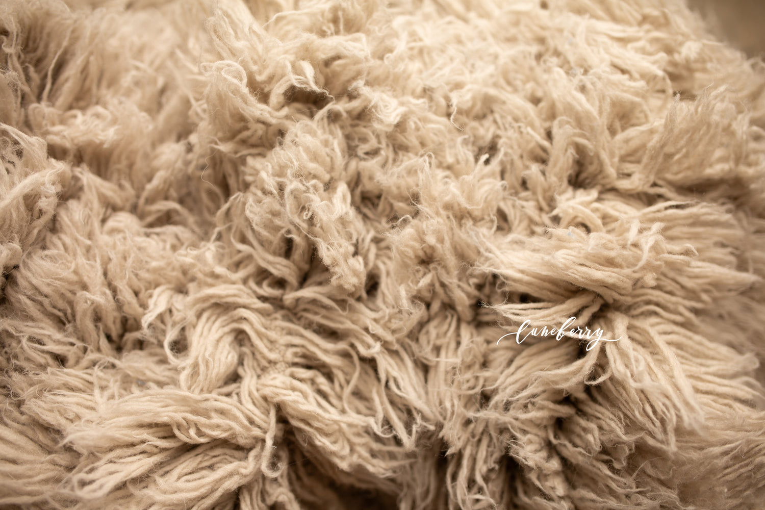 Close-up of simmering smoke flokati 