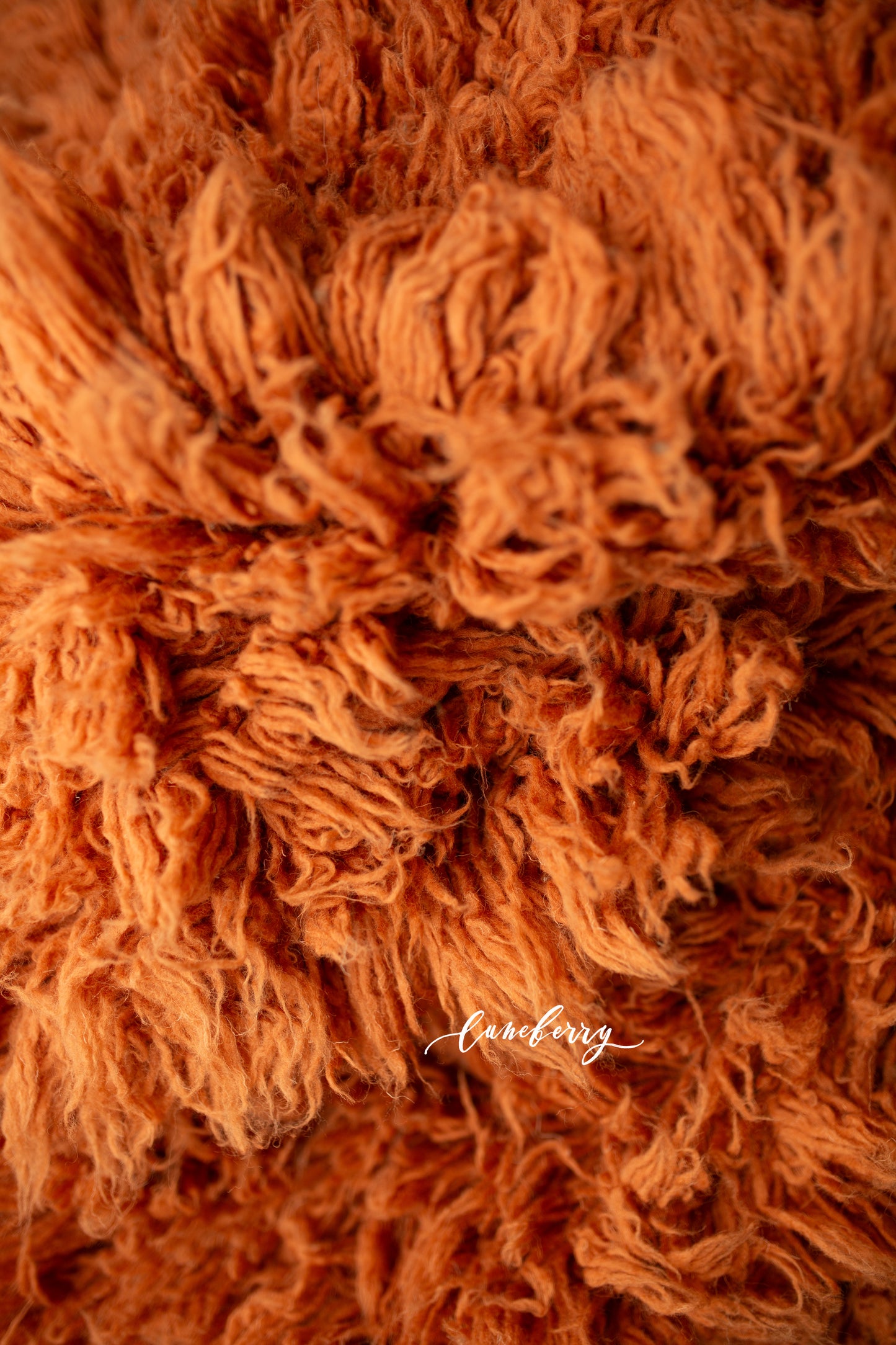 SPICED CIDER Premium Wool Flokati