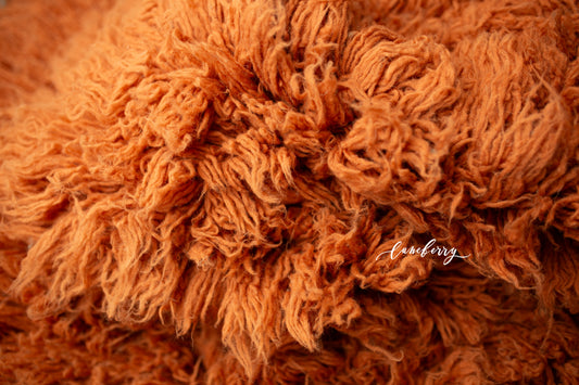 SPICED CIDER Premium Wool Flokati